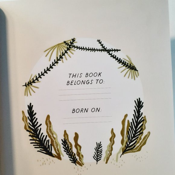 WILD ABOUT YOU CR Gibson First 5 Years Baby Album / MemoryBook / Keepsake NEW - Picture 5 of 8